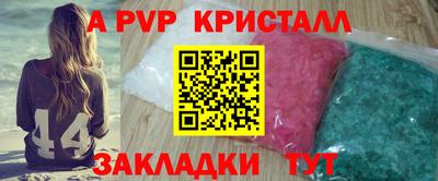 стаф Прокопьевск
