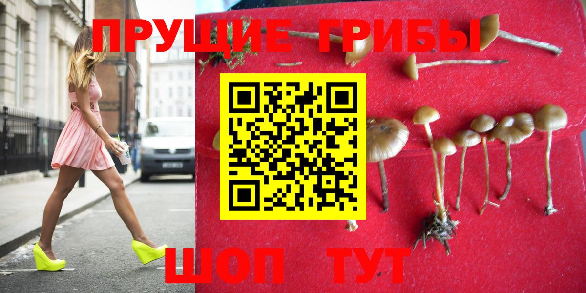Галлюциногенные грибы Cubensis Аша