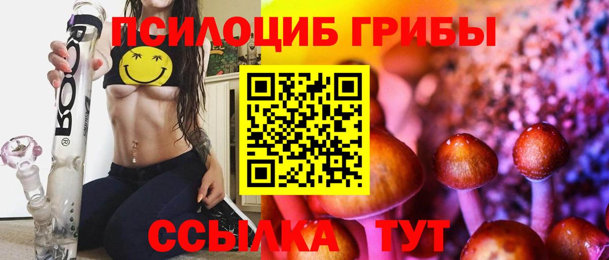 Аша  Псилоцибиновые грибы прущие грибы  Вход с VPN 