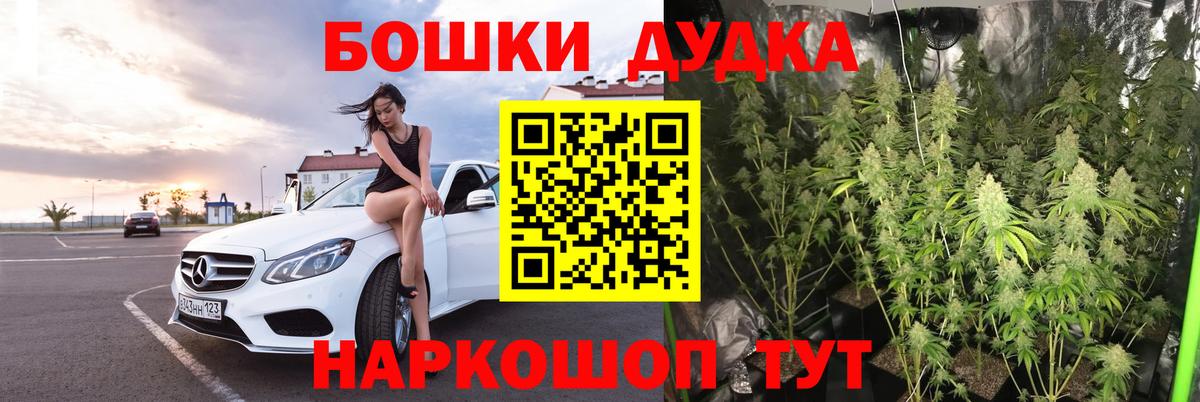 МАРИХУАНА индика  Вход с VPN  МАРИХУАНА White Widow  Шишки марихуана White Widow  Каннабис план  Аша 